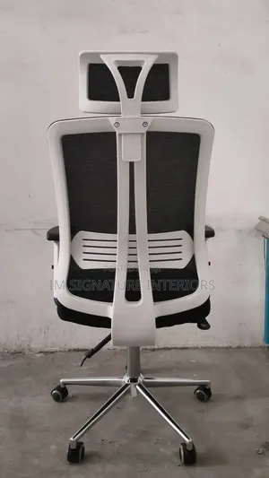 Premium Mesh Office Chair