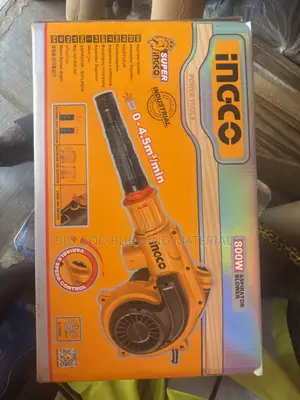 Ingco Aspirator Air Blower 800w