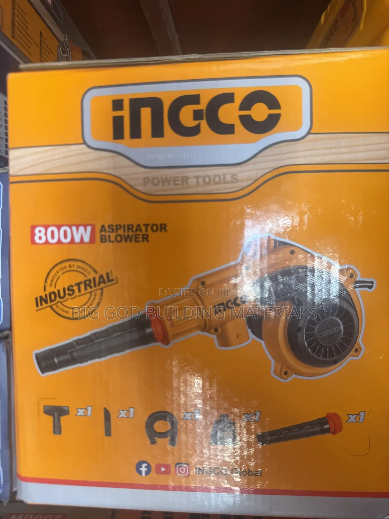 Ingco Aspirator Air Blower 800w