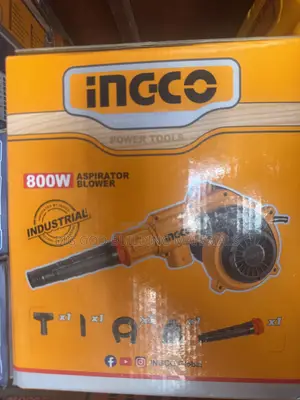 Ingco Aspirator Air Blower 800w