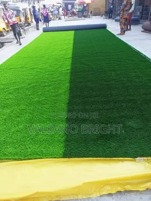 Wall to Wall Rug