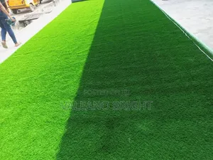 Wall to Wall Rug
