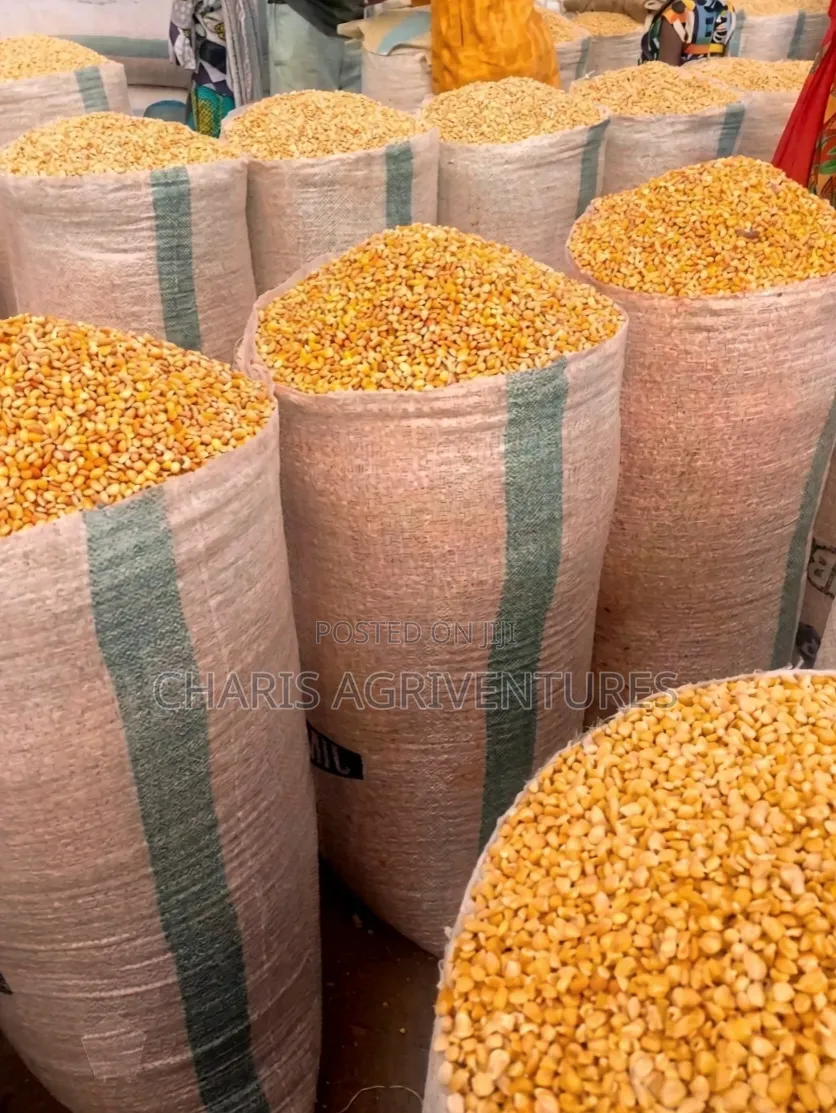 Yellow Dry Maize