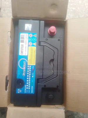 Everstart 75ahs Car Battery