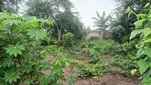 100ft by 100ft Size of Land for Sale in Amagba