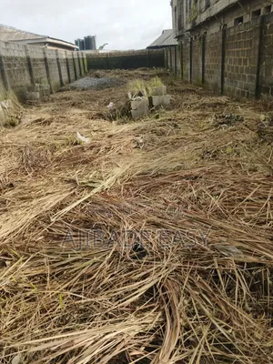 Half Plot of Land Fence Gated Very Close to the Tarred Road