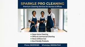 Professional Cleaning Services for Offices and Homes