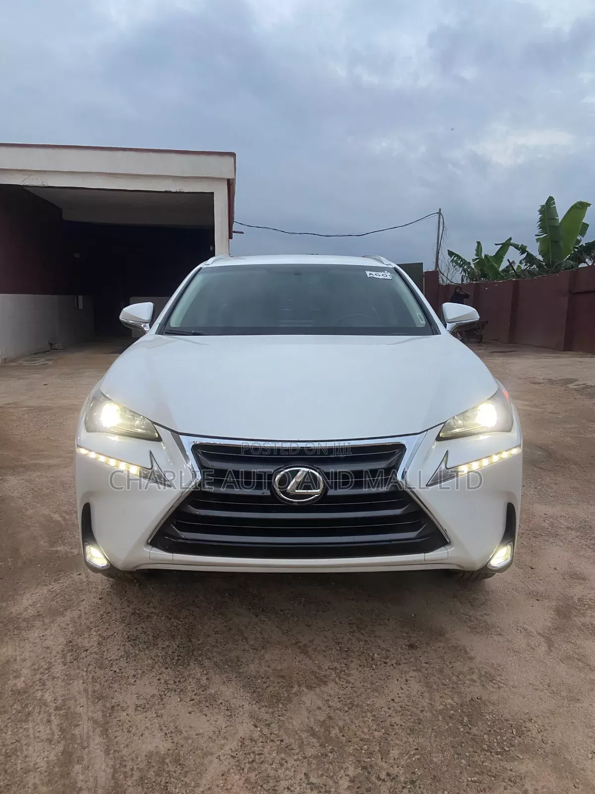 Lexus NX 2015 White