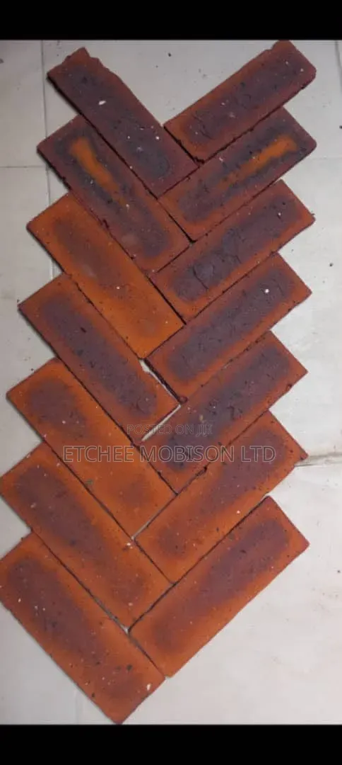 South African Bricks