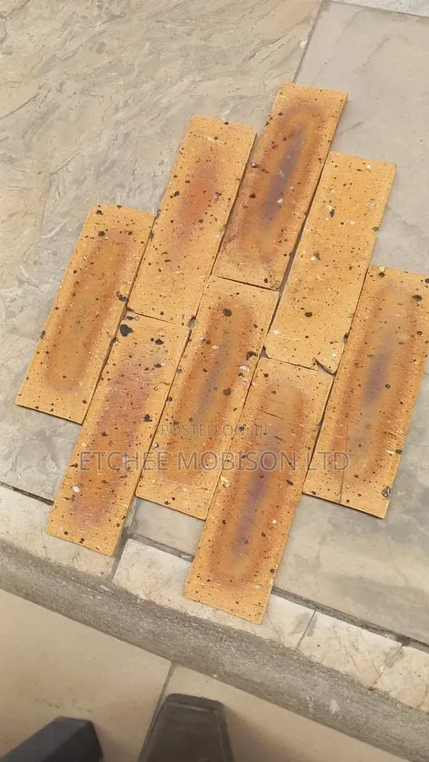 South African Bricks