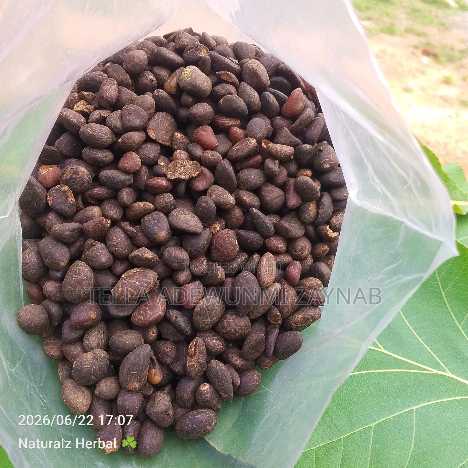 Cracked Palm Kernel -Palm Kernel Nut -2kg