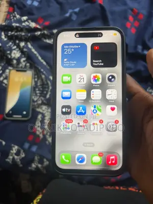 Apple iPhone 15 Pro Max 256 GB Gray