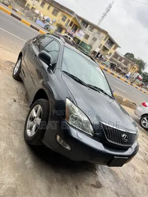 Lexus RX 2008 Gray