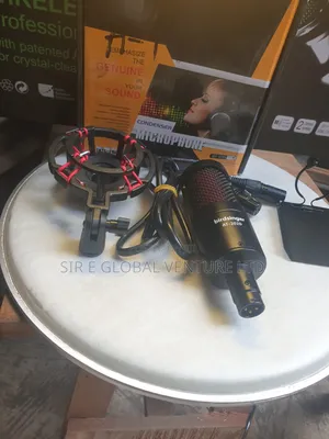 Professional Birdsinger AT-2020 Condenser Microphone