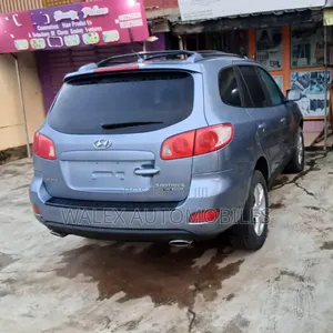 Hyundai Santa Fe 2008 Blue