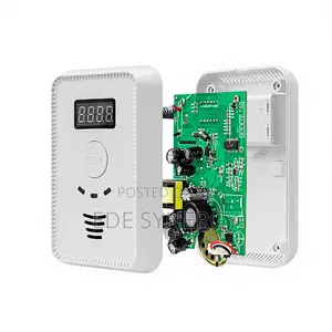 Fast Response Wall-Mounted LPG Gas Detector