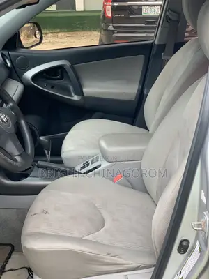 Toyota RAV4 2010 Silver