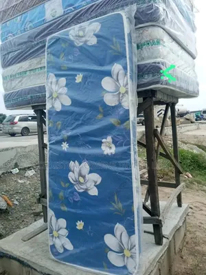 2.5x6x4 Inches Zhe Long ( Student Mattress)