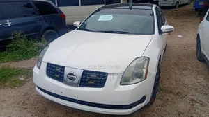 Nissan Maxima SV 2009 White
