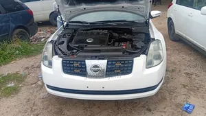 Nissan Maxima SV 2009 White