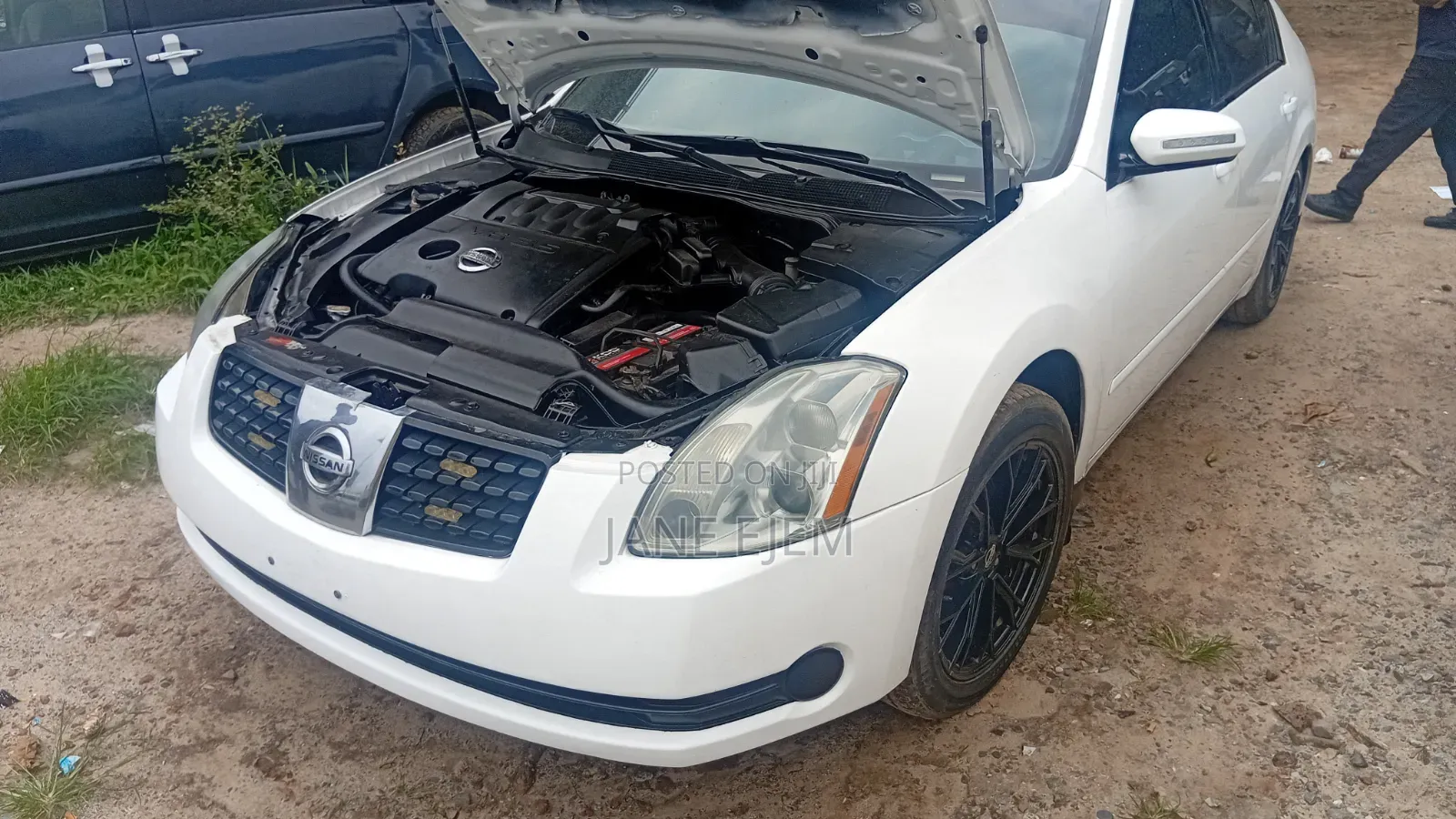 Nissan Maxima SV 2009 White