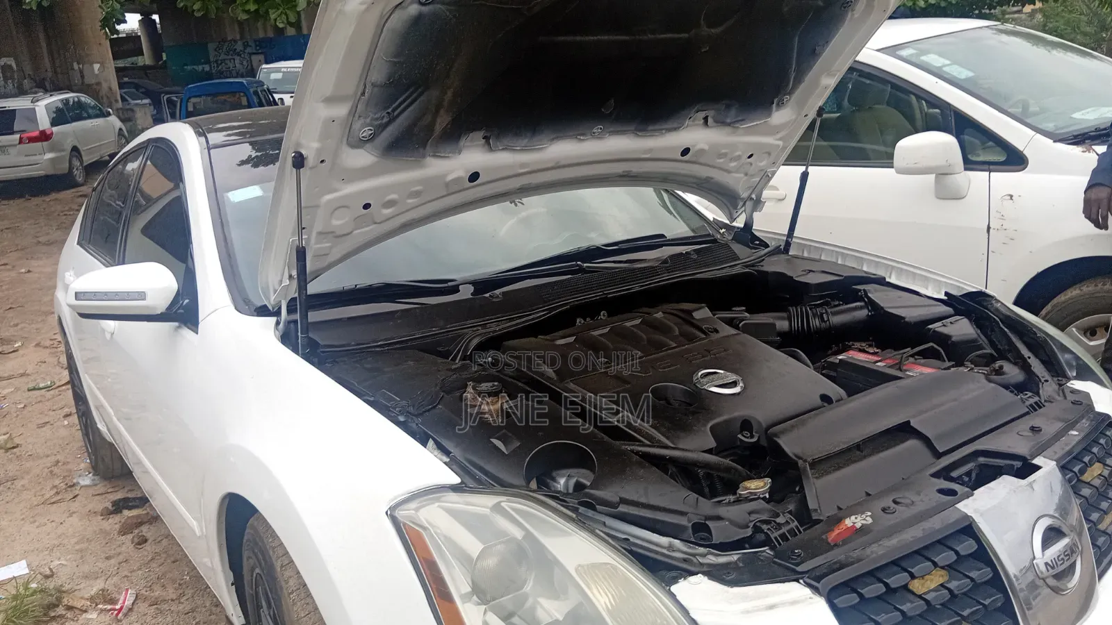 Nissan Maxima SV 2009 White