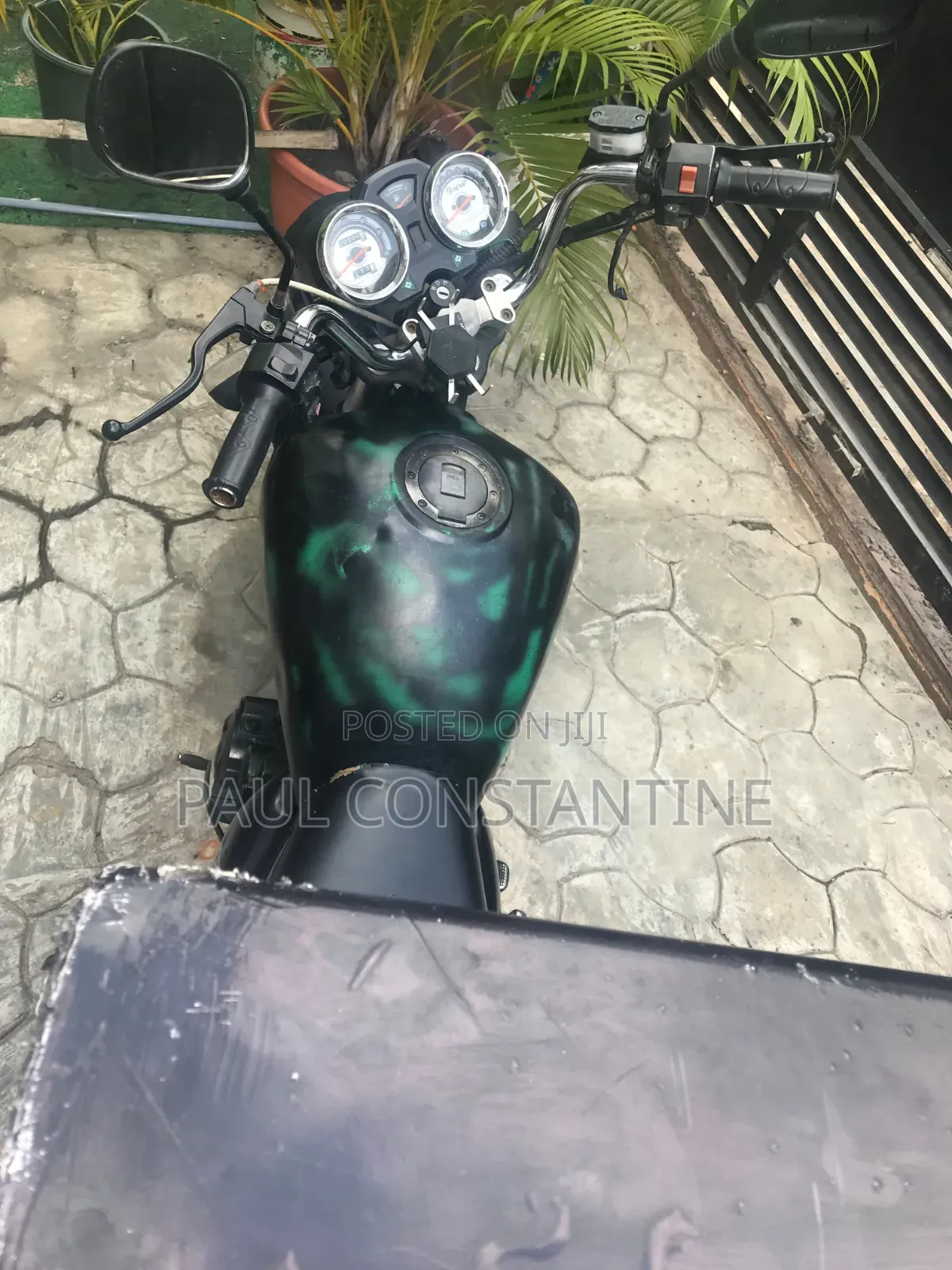 Denstar Taurus 2022 Black