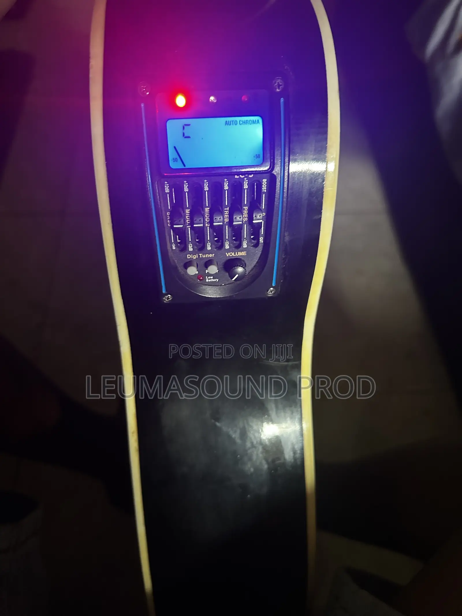 Semi Acoustic Guitar