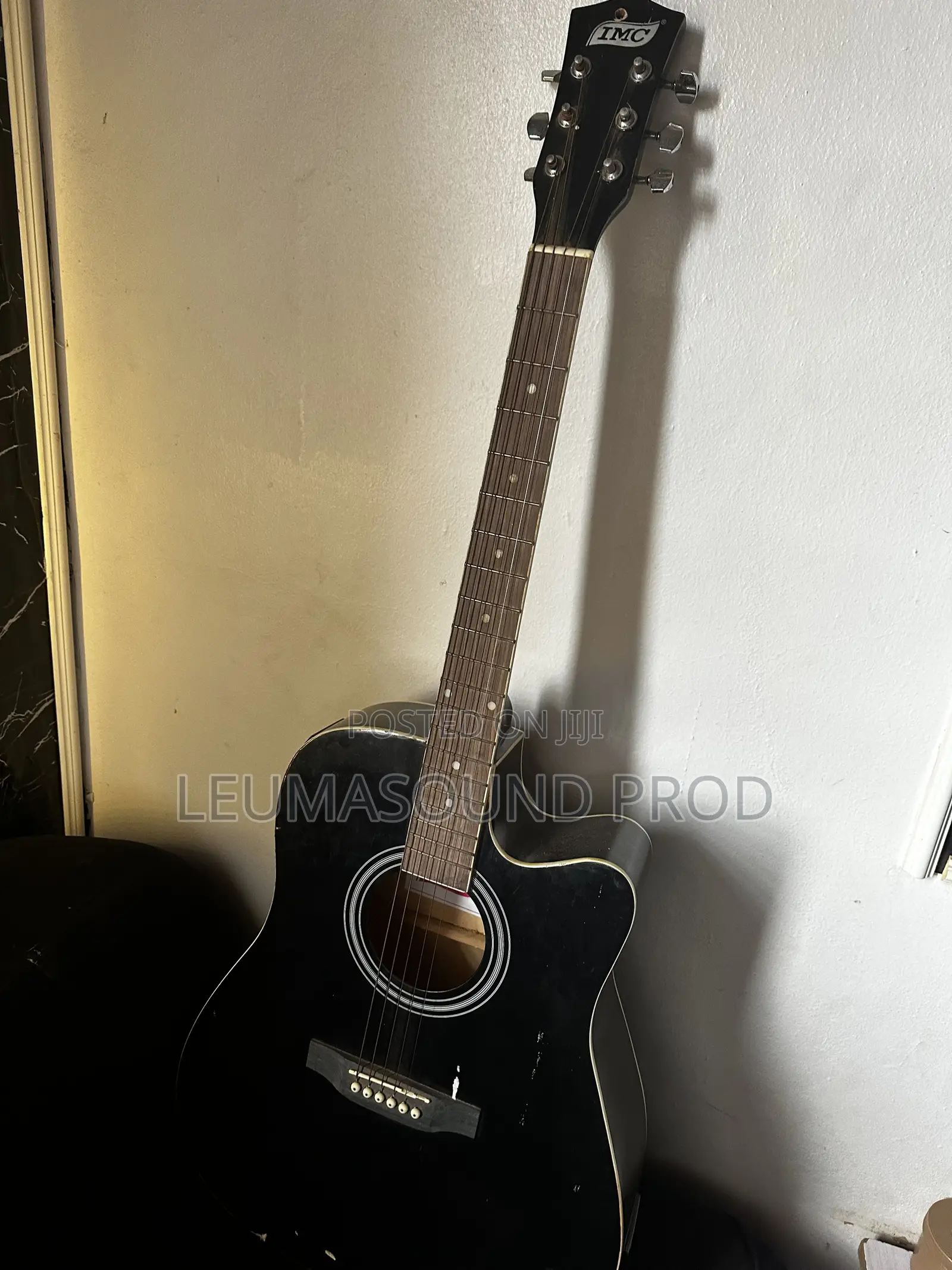 Semi Acoustic Guitar