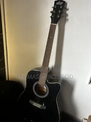Semi Acoustic Guitar