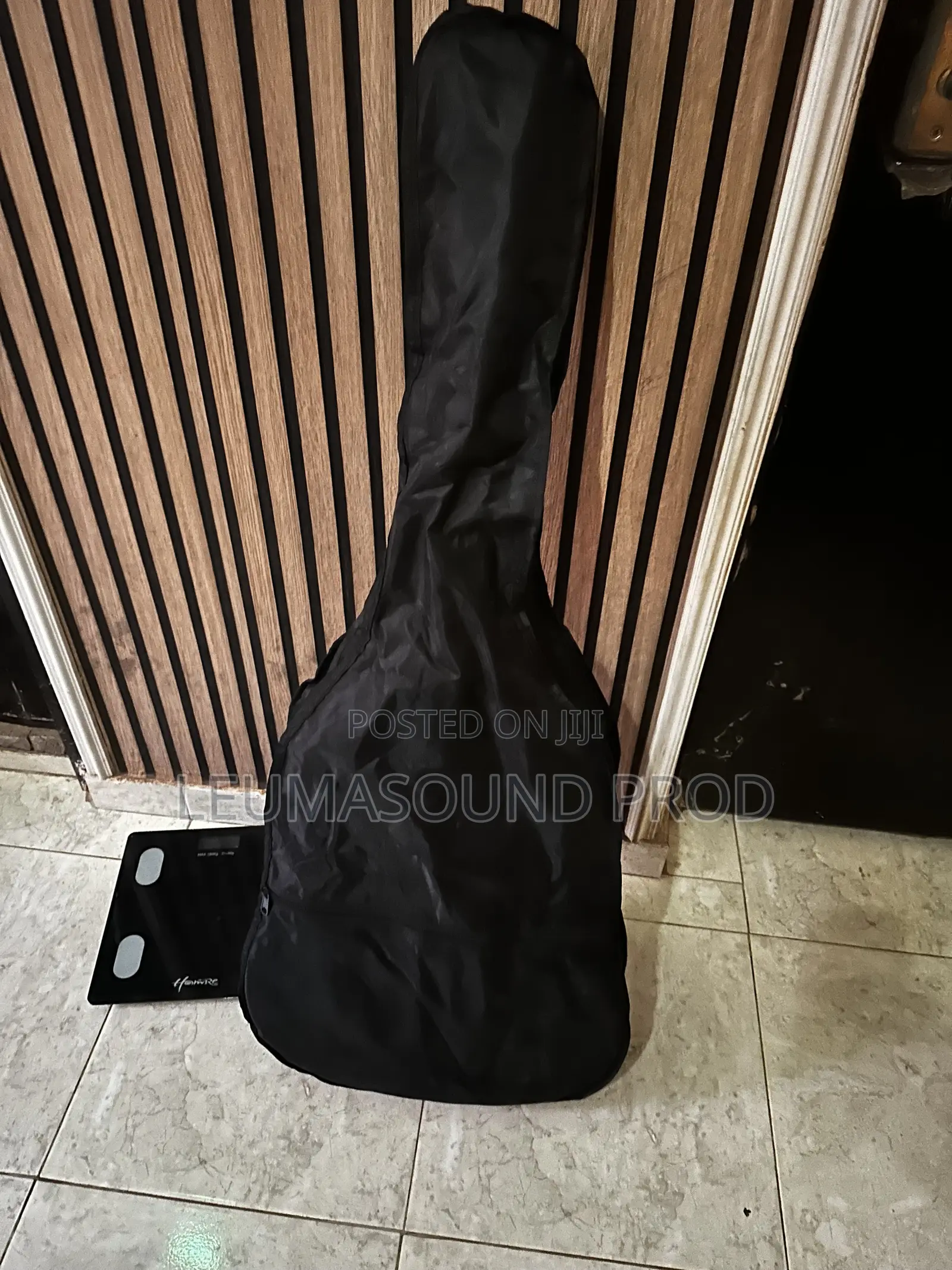 Semi Acoustic Guitar