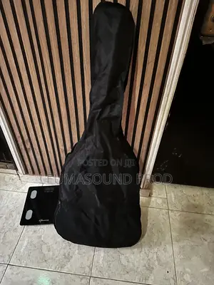 Semi Acoustic Guitar