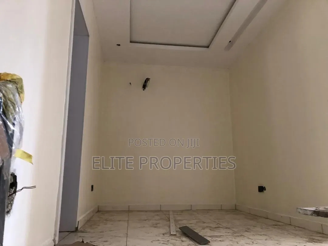 Painter in Ibadan – Professional Finish