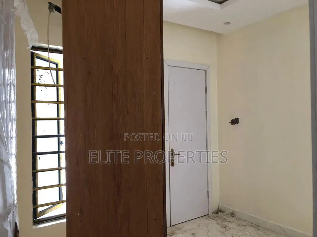 Painter in Ibadan – Professional Finish