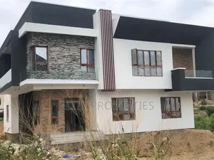 Painter in Ibadan – Professional Finish