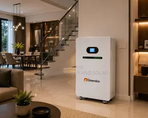 20kWh LiFePO4 Solar Battery | Premium Energy Storage by Dawnice