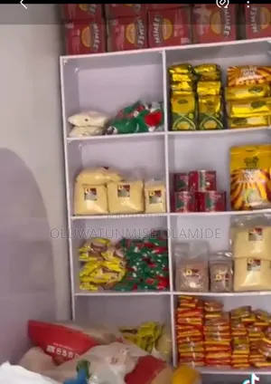Frozen Food Mini Mart