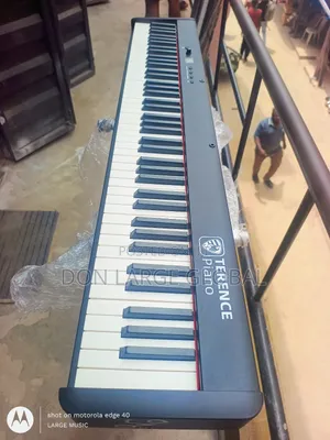 Terance Hammer Key Piano