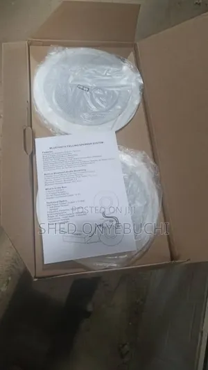 2 in 1 Bluetooth Speaker With Inner Amplifier