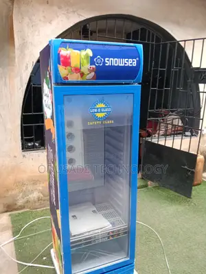 300L SNOWSEA LC-300W Upright Beverage Chiller