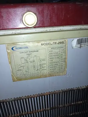 295L Solid Deep Freezer