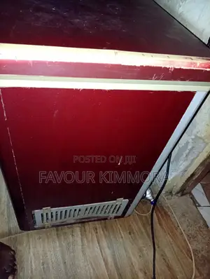 295L Solid Deep Freezer