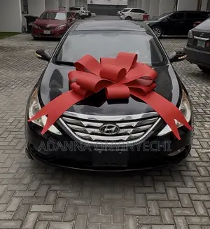 Car Bowtie