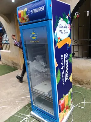 SNOWSEA 300L Commercial Display Chiller