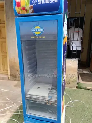 Retail Display Chiller SNOWSEA 300L