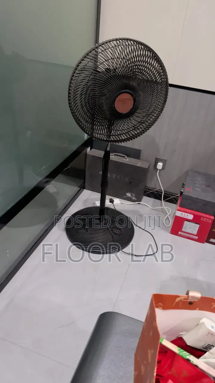 Rongtia Standing Fan