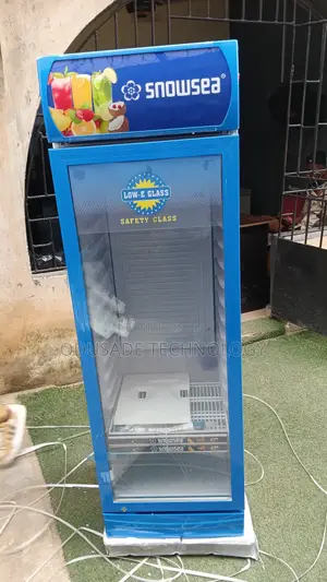 SNOWSEA Single Door Upright Chiller 300L