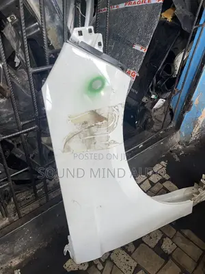 Ford Edge 2016-2018 Model Fender