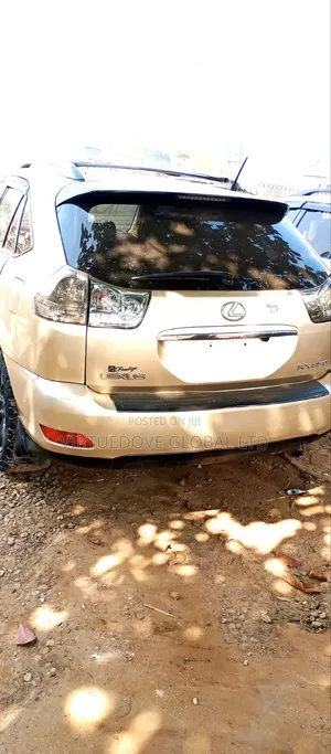 Lexus RX 2007 Brown