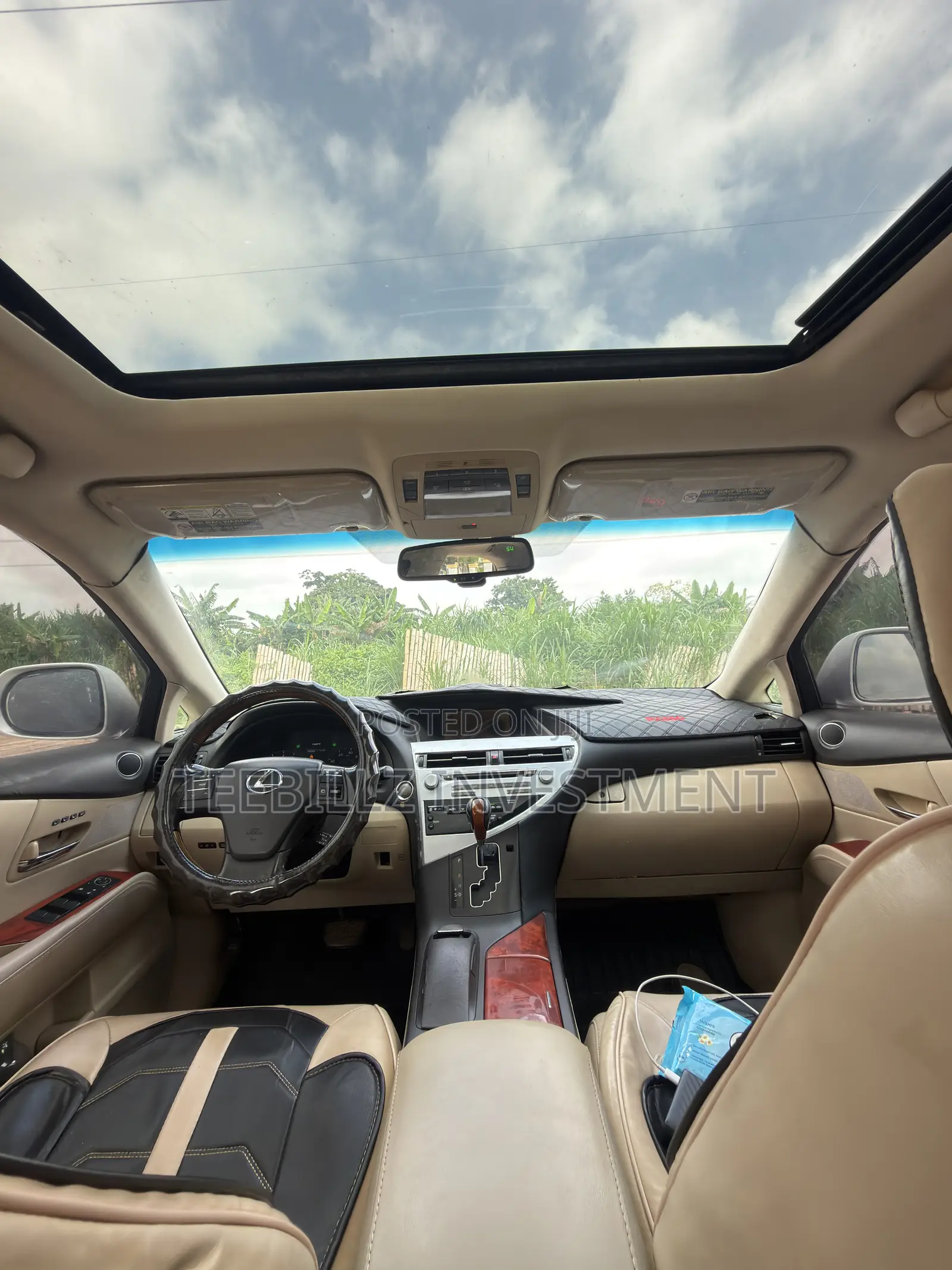 Lexus RX 350 2010 Silver